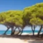 pulizia Air bnb Budoni e stirare