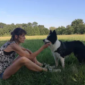 femme de menage hautes pyrenees 65