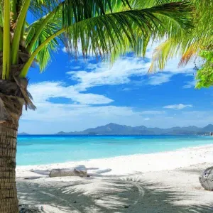 Je cherche un(e) aide ménagère près de chez moi