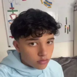 Baby-sitter débutant dans vitré 