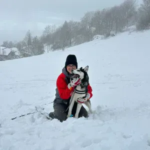 Cerco dog sitter a Brivio 