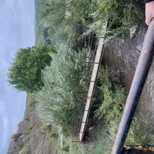 Esperienza badante e pulizie lecco