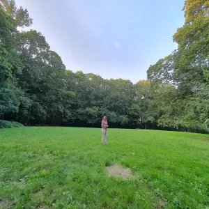 Aide pour le ménage