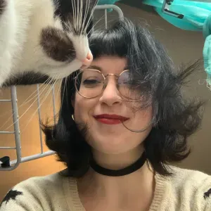 Cat sitting Isola della Scala e dintorni