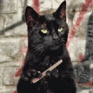 Cerco un servizio di pulizie vicino a me