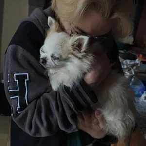 4 Pattes Heureuses - Pet-sitter professionnel 