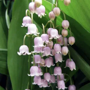 recherche soutien en français 3eme