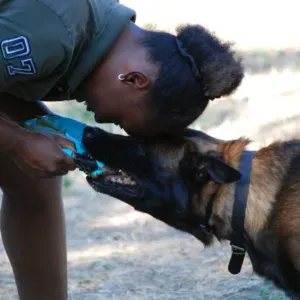 Pet-sitter sportive et suuuuper joueuse avec les animaux 🤗