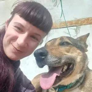 Serviços de Petsitting e Dog walking - Aljezur, Algarve 