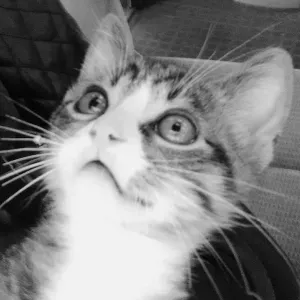 Femmes de ménage en maison de retraite a grand-charmont 