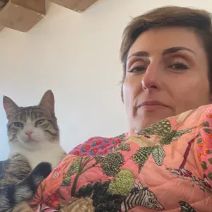 hébergement de chat pendant l'été