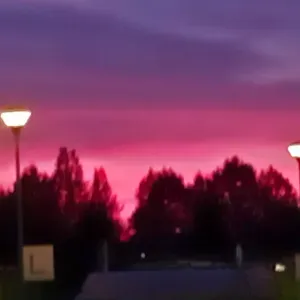 I'm looking for a petsitter near me