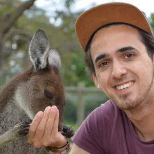 Garde de vos animaux