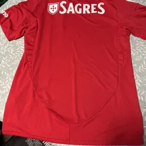 Empregada de limpeza em portimao 