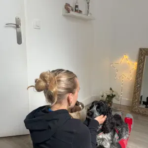 dog sitter dans les Yvelines !