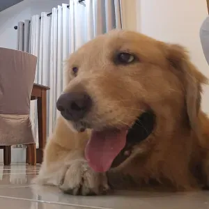 General Cleaner