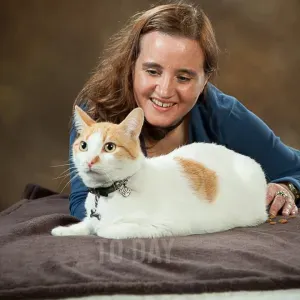 Limpezas para contratar