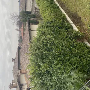 Lavoro pulizie sia a case private anche in uffici.