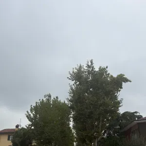 Addetta delle pulizie domestiche