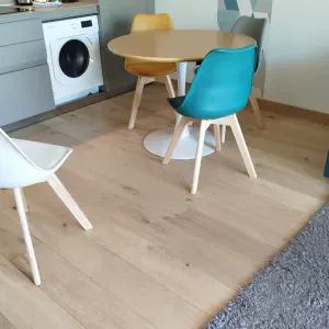 Femme de ménage responsable a Grenoble 