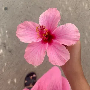 BABY SITTING DISPONIBLE LE WEEK-END