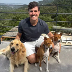 Pet sitting e demais cuidados em Porto 