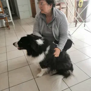 Pet-sitter chez les propriétaires dans le 31