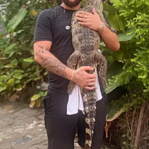 Pet sitting a Milano per cani di qualsiasi razza e taglia