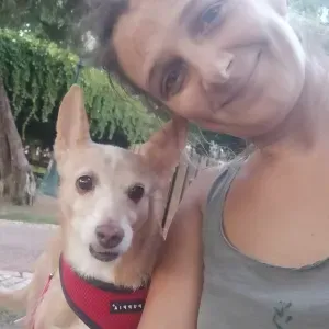 Procuro Dog Walker, Passeios 