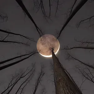 Recherche assistant(e) maternel(le) - garde d'enfants à ...