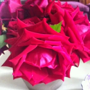 Offerta di lavoro per pulizie a Murlo