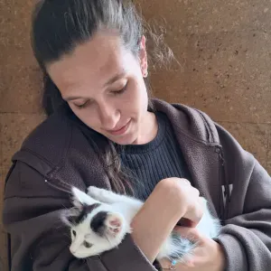 Pet-Sitter à Nantes et ses alentours