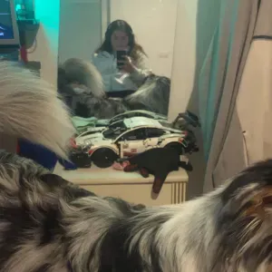 Pet-sitter à Pfastatt mais je peux me déplacer 