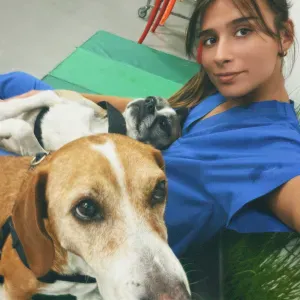 Pet Sitter experiente de Lisboa e Enfermeira Veterinária