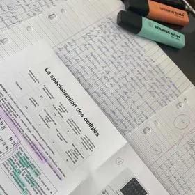 Prof particulier aux alentour de Malville 