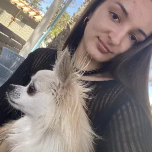 Pet sitting em Oliveira de Azeméis e arredores