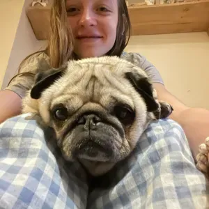 Pet-sitter aux alentours de Jemeppe-sur-sambre