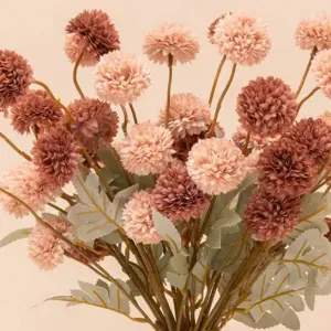 Ferme de ménage sérieuse à Paris 