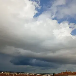 Persona de acompañamiento y ayuda en limpieza