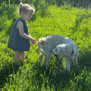 Recherche Baby-sitter pour sortie d'école parlant Espagnol