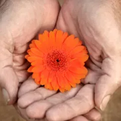 Femme motivée pour aide à domicile