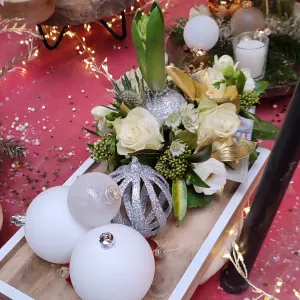 agent de propreté , femme de ménage 