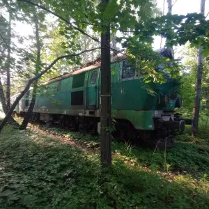 Szukam petsittera Łódź