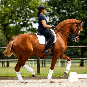 I'm looking for a cleaner in Uden