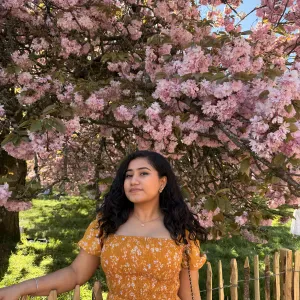 Experience Babysitting in paris for 2 years