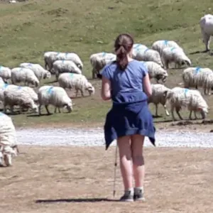 Pet-sitter à Avrillé (Maine-et-Loire)