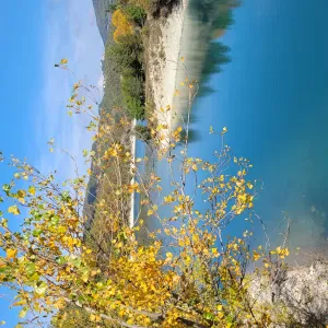 Cerco aiuto domestico ( donna delle pulizie)