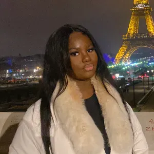 Baby-sitter expérimenté à Laval !