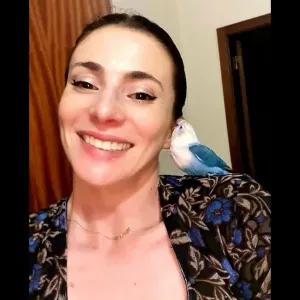 Limpezas para contratar