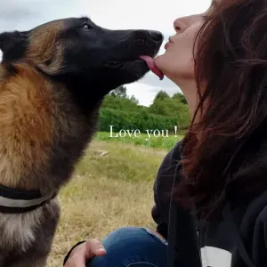 Pet sitter dans 64 coté  Saint mlais